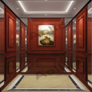 Ascenseur de passager de miroir d'or rose